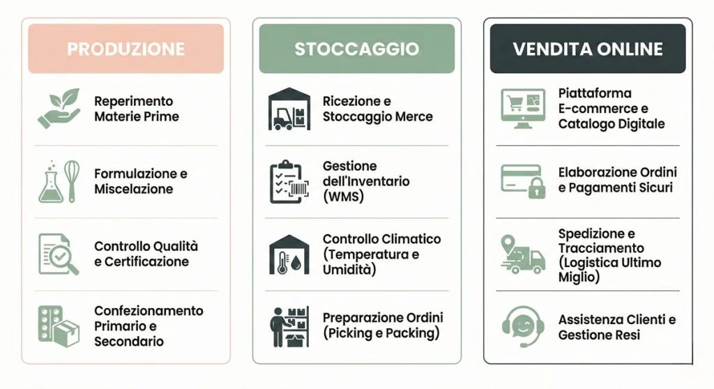Infografica che illustra le tre fasi della logistica per integratori: Produzione (qualità e confezionamento), Stoccaggio (WMS e controllo climatico) e Vendita Online (e-commerce e spedizioni).