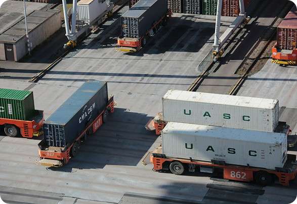 Camion Momoka pronti alla consegna